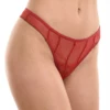 Bordeaux mesh Brazilian panties with fine vertical detailing and a slim lace trim, open sides.