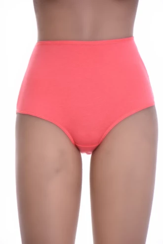 Breathable high-waisted cotton briefs with a smooth tucked-in line and full back coverage.