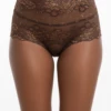High-rise brown lace and mesh Brazilian panties with scalloped edges and a cheeky open back.