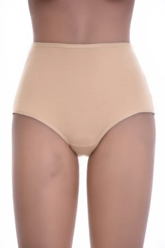 Cotton Brazilian panties with a raised waist and mesh back, soft against the skin for comfortable daily wear.