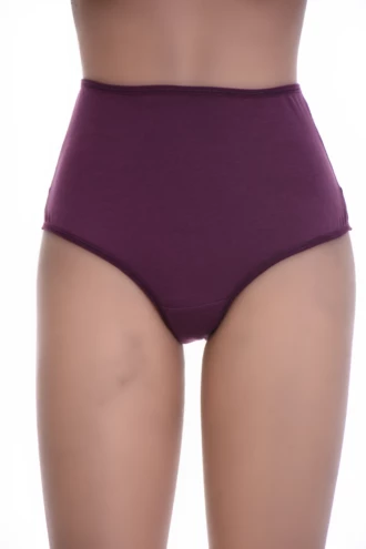 High-waisted cotton Brazilian panties with a sheer mesh back, an easy everyday pair with a bit more shape.