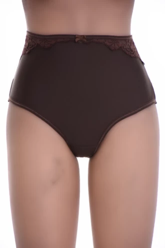 Microfiber Brazilian panties with a high rise, cheeky back and a sheer mesh panel across the front.