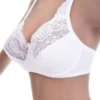 Shaped-cup lace bra with floral lace on the front and a smooth microfiber band steady across a wide size range.