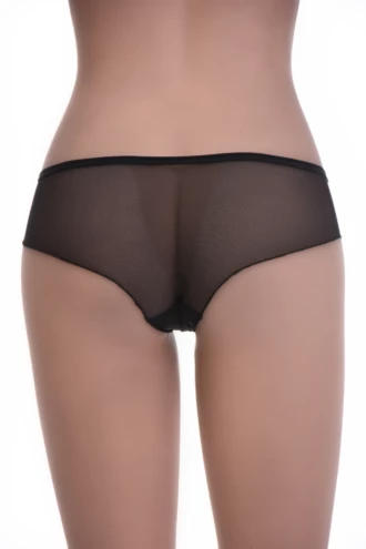 Sheer mesh-and-lace boyshort briefs for women, floral lace hips on a barely-there breathable body.