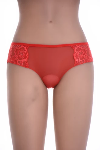 Fine mesh-and-lace boyshorts by Tiara Galiano, floral lace sides on a delicate barely-there squared-leg body.
