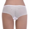 Fine mesh boyshorts with floral lace hips, a dressier see-through shape worn over the cotton basics.
