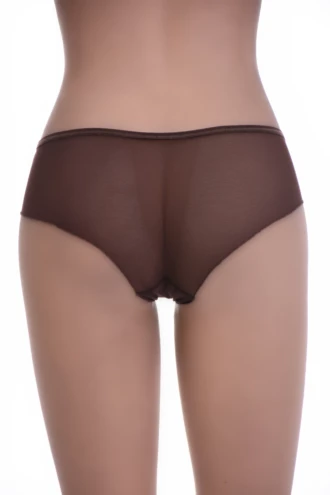 Fine see-through mesh boyshorts with lace side panels, a squared leg line and a delicate dressier feel.