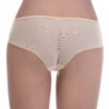 Sheer mesh boyshorts with floral lace hip panels, a light see-through pair with fuller back coverage.