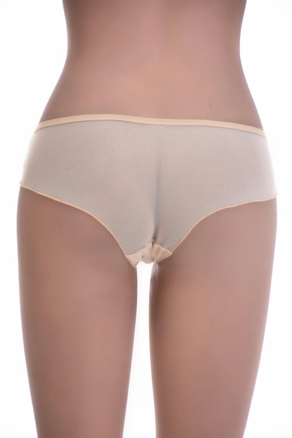 Sheer mesh boyshorts with floral lace hip panels, a light see-through pair with fuller back coverage.