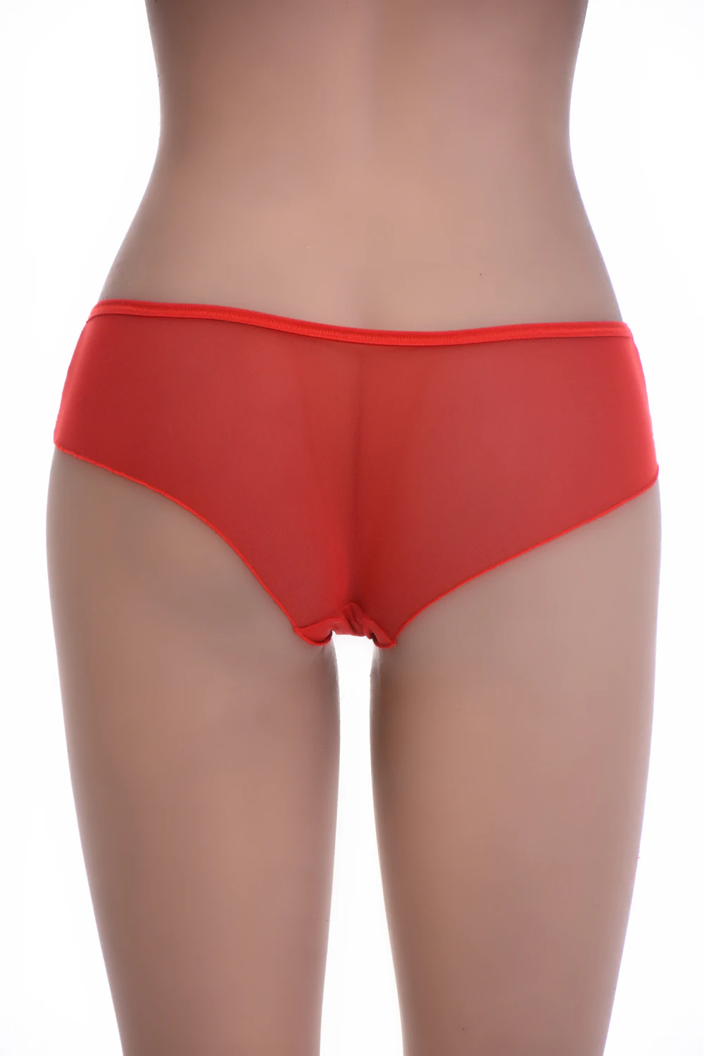 Women's sheer mesh boyshorts by Tiara Galiano with floral lace hip panels, a light see-through squared-leg pair.