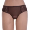 Sheer mesh boyshorts with floral lace worked into both hips, fuller back coverage on a barely-there build.