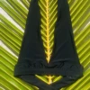 Black plunge triangle bikini top with a long halter cord that ties behind the neck and a deep adjustable V.